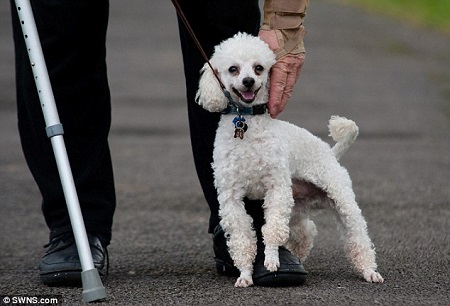 ����·�Ƶ���©�磬���ﹷ��СϺ���ڡ����֡�ʱ���Ҵ��硣