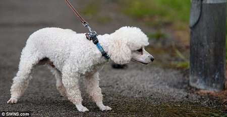 Ŀǰ����СϺ�����������޴󰭣�������Ҳ���ҿ������������ˡ�