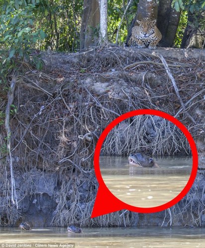 Ǳ���е����ޱ������е�ˮ̡