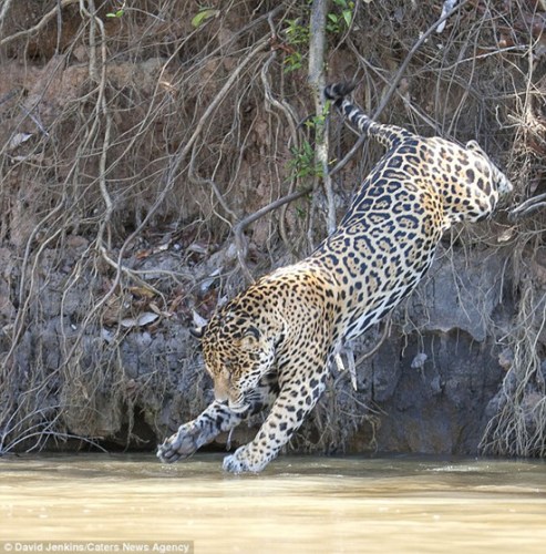 ˮ̡��ʧ�����ޱ��������