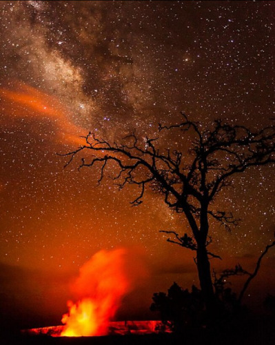 ҹ�ձ�������ҽ�������