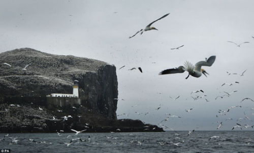 �����˹�ҵ�������