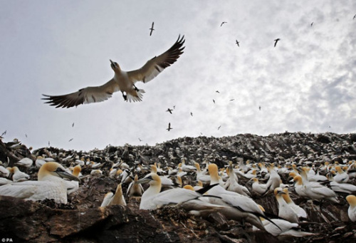 �Ժ������Ұ�۲�