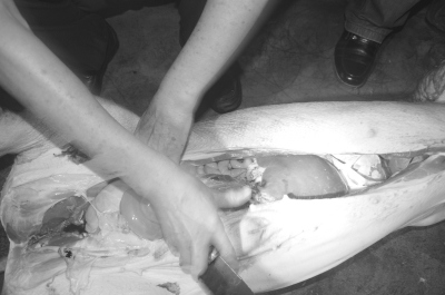  �������Ѹ��ܷ���