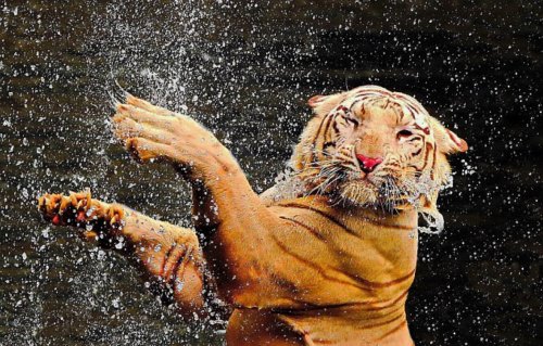 �ϻ��ǳ�������ˮ��������ˬ�о���ͼ���ϻ���ˮ����ͬ��