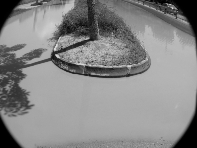 泥水已淹没路面 泥水已淹没路面