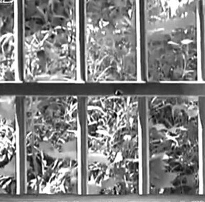 ����Ȧ��Ϊ���Ƶ���(��Ƶ��ͼ)