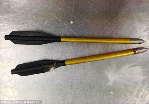 ����������֧���