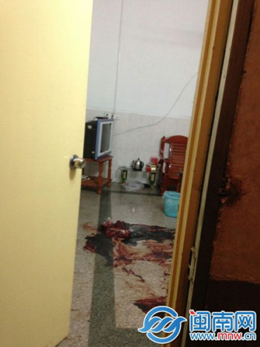 �����ֳ�һƬѪ��