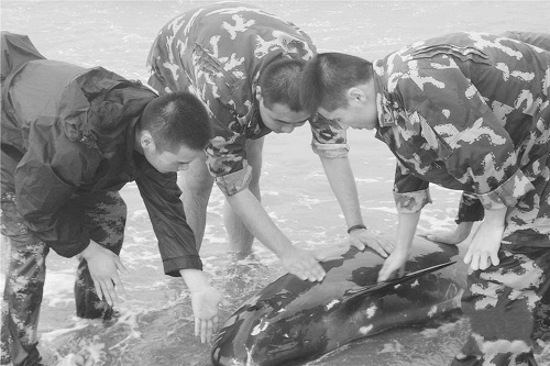 ͼΪ�߷��ٱ��ú�ˮ���ú������ 