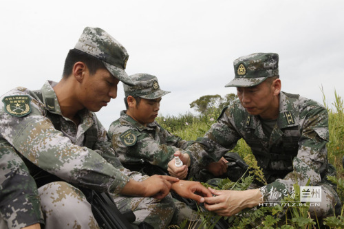 喷洒驱虫药水 喷洒驱虫药水
