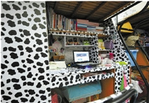 这就是可爱的“澳大利亚牧场奶牛风” 这就是可爱的“澳大利亚牧场奶牛风”