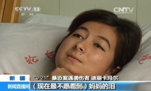 专家土耳其是东突大本营中国反恐需土方配合