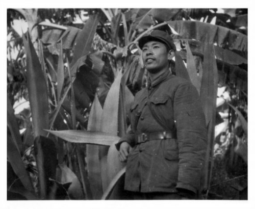 ��Ԯ����������ʱ����Ӱ��