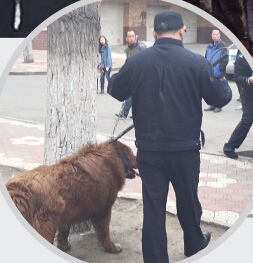 �����Ʒ����ᣬ����������ֳ���