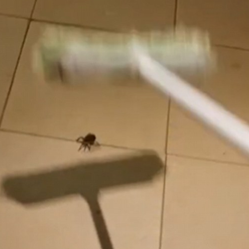 ����׼����ɨ�㽫���롰������