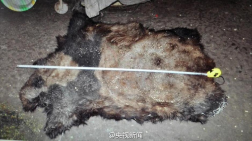 央视记者 刘文杰摄 图片来源:央视新闻官方微博 央视记者 刘文杰摄 图片来源:央视新闻官方微博