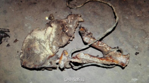 刘文杰 摄 刘文杰 摄