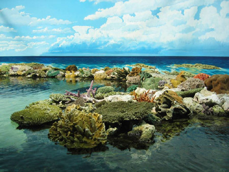 图为美丽的大堡礁。