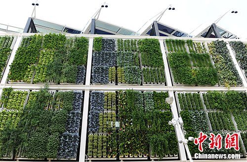 ���������������� <a target='_blank' href='http://www.chinanews.com/' >������</a>���� ���� ��