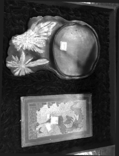 ���¸پ��õ����ŷ��ɲ�