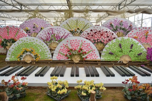 蔡家洼村大棚里的“姹紫嫣红” 蔡家洼村大棚里的“姹紫嫣红”