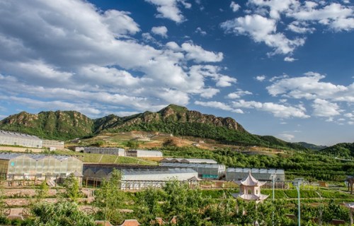 “村企共建”为蔡家洼村带来了勃勃生机 “村企共建”为蔡家洼村带来了勃勃生机