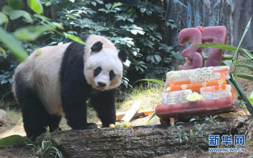 ���Ѽѡ���37�������ա�