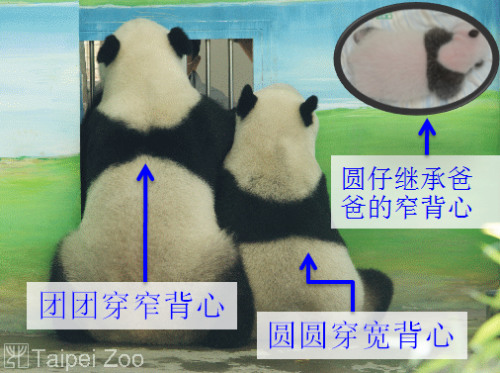 �����š�����ԲԲ���ı����ڰ�Ҳ��ͬ��