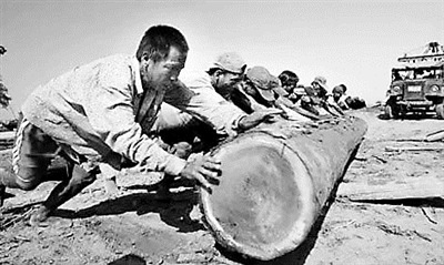 中国伐木工人在缅甸林场从事伐木工作 中国伐木工人在缅甸林场从事伐木工作