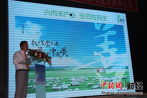 �����ܲ�������