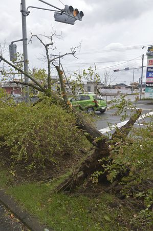 ̨�������ĳ�����