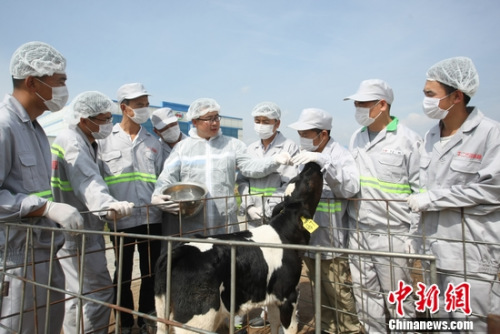 ������ţѧУţ����ѵ��Ӫ��ʦ�ֳ�ָ��ѧԱ��ֳ����