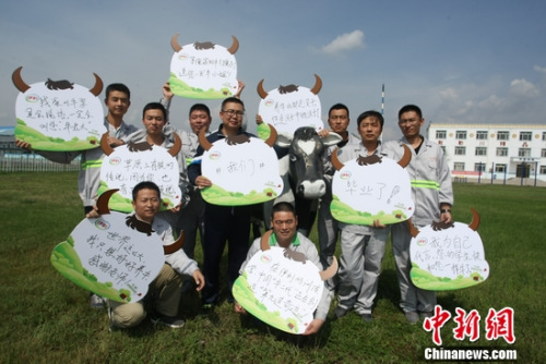 ������ţѧУţ����ѵ��Ӫ����ѧԱ����ѵ��ʦ��Ӱ����