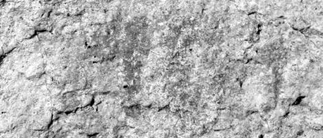 ���ŷ���Ĵ��˰����һ������������ëϬ