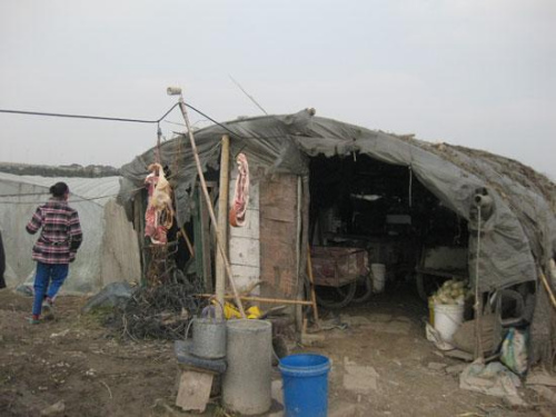 �Դ���Ϊ��