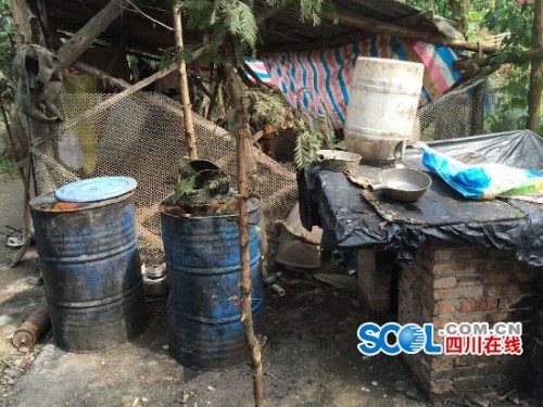 ���Ƶع����ֳ�