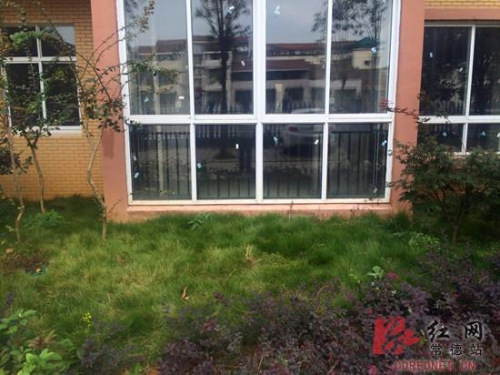 ����׹��Ĳ�ƺ���������ɣ����˻�������