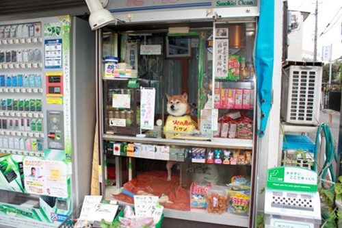 神技二:当店小二。 神技二:当店小二。