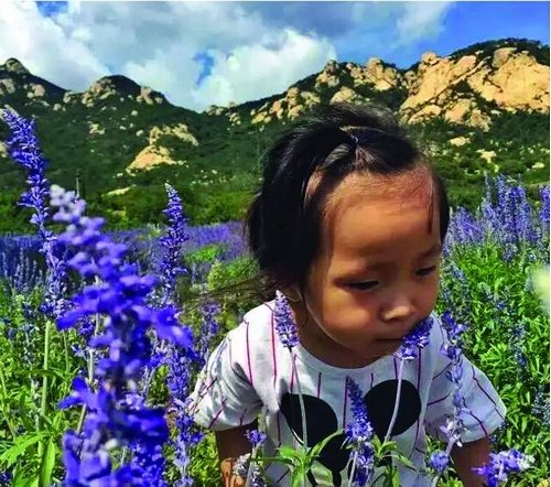 图们 图们