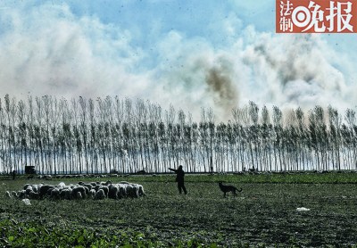  ��ɽ��������������򸽽���һ������ũ���������������׽ո��ڴ�������������ȼ��