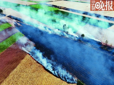  �ӱ�ʡ��ɽ��������������򸽽�����ǧĶ�Ľո���5�����Ҵ��������ȼ�գ�Ũ��������������ܿ�������������س��ֺ�ɫ�����ģ�