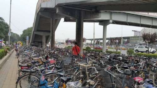 在八通线终点土桥站西北角的公交车站,有近十条从河北香河、廊坊等地开来的通勤公交线路。过街天桥下被数以百计的自行车塞得满满当当,而地铁站下的停车场也鲜有空位。图为7月20日下午4时许,一名市民在寻找自己的自 在八通线终点土桥站西北角的公交车站,有近十条从河北香河、廊坊等地开来的通勤公交线路。过街天桥下被数以百计的自行车塞得满满当当,而地铁站下的停车场也鲜有空位。图为7月20日下午4时许,一名市民在寻找自己的自