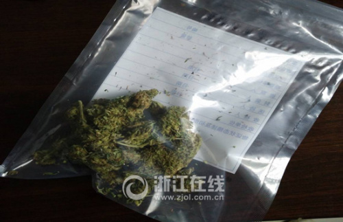 大麻 大麻