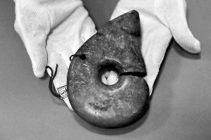 ������׷�ص���������