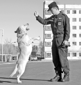 ��ϰƽ���ž�Ȯ�����ơ��ӽ�ѵ������սʮ�������������� ��������