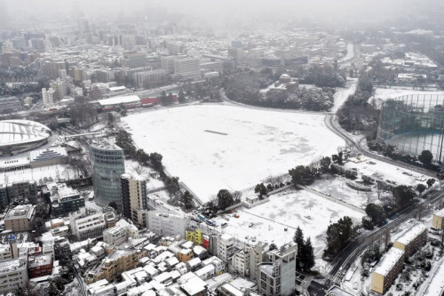 东京新国立竞技场被白雪覆盖。 东京新国立竞技场被白雪覆盖。