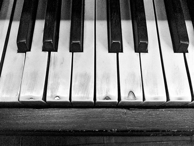 ����С�����������