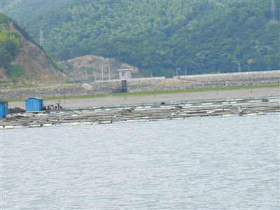 规范整治后的养殖网箱。祁海军摄 规范整治后的养殖网箱。祁海军摄