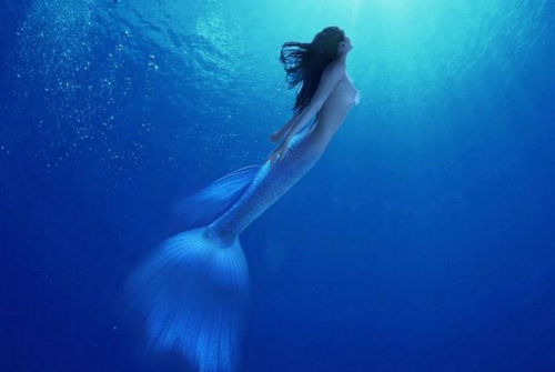 资料图:美人鱼 资料图:美人鱼